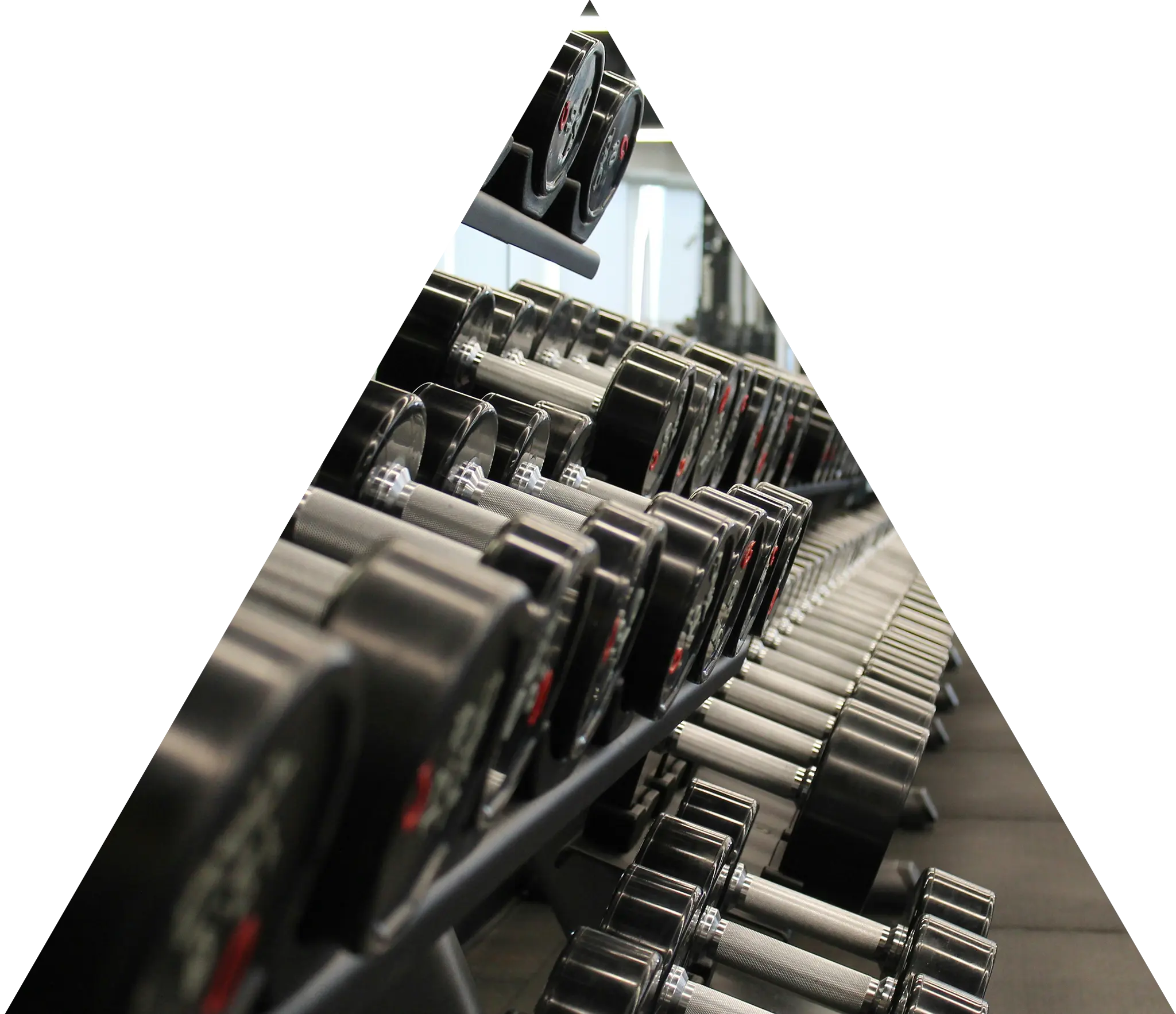 gym-equipment